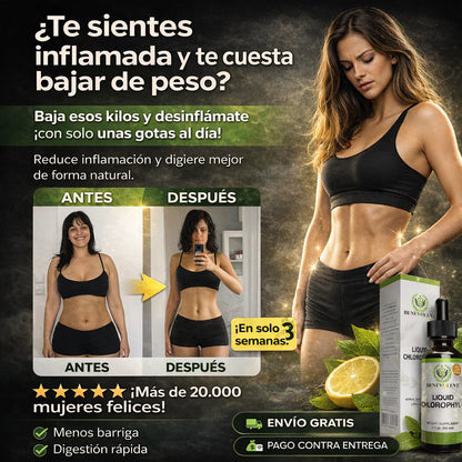 Clorofila Líquida: El Impulso Verde que Tu Cuerpo Necesita 🌿